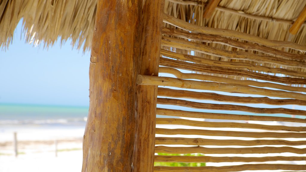 Holbox mostrando vistas generales de la costa y una playa