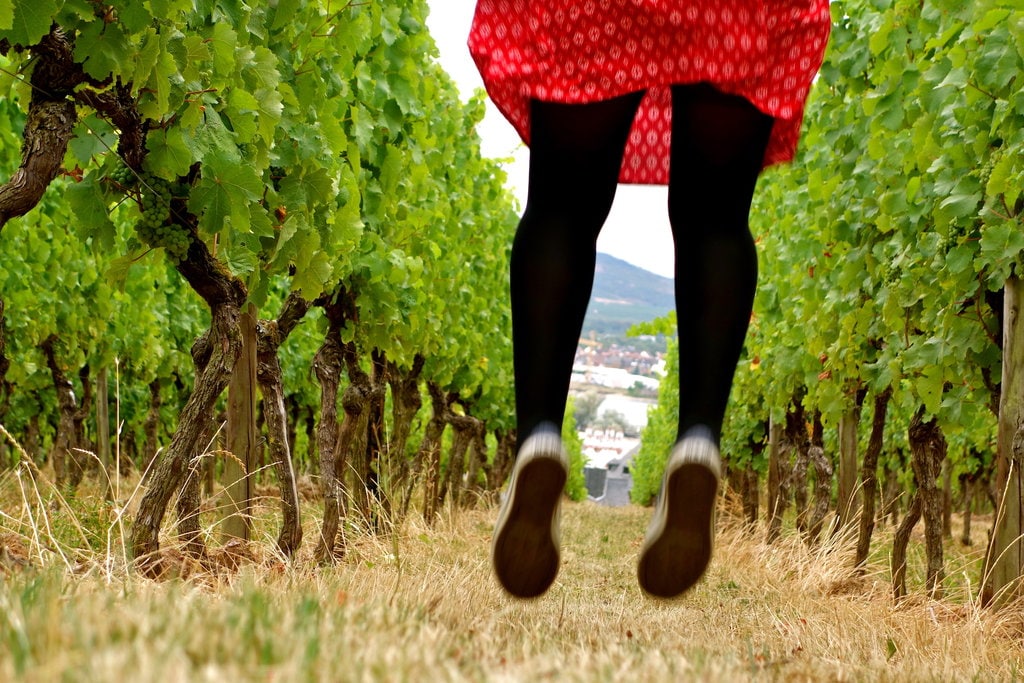 sauter dans les vignes