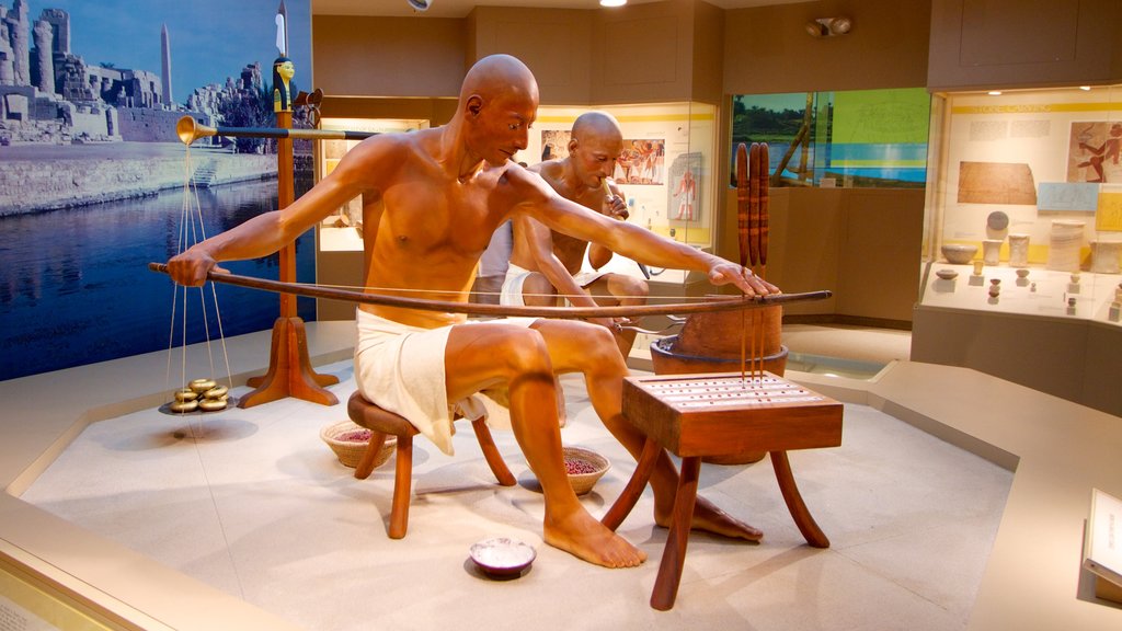 Carnegie Museum of Natural History showing interior views