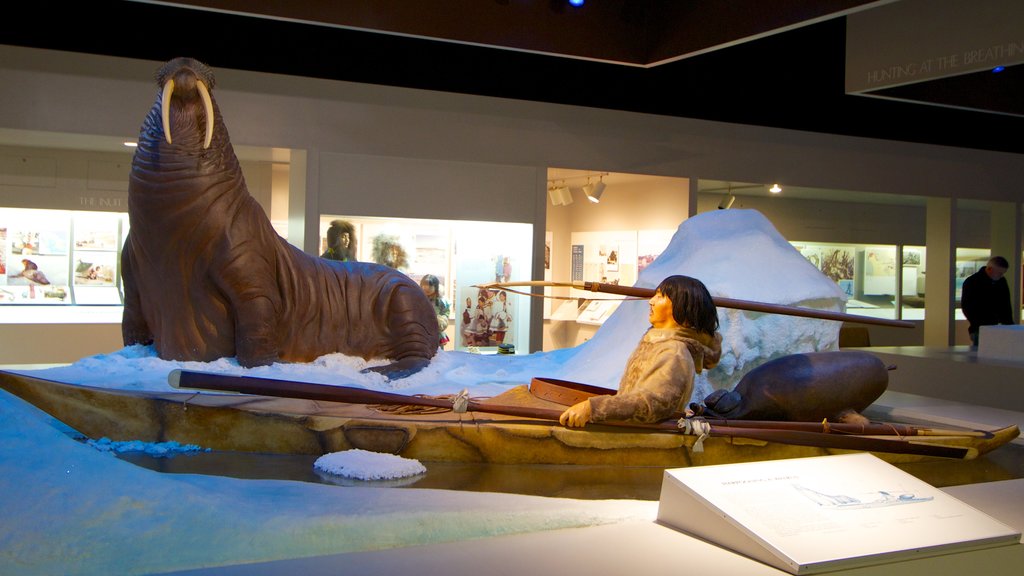 Carnegie Museum of Natural History showing interior views