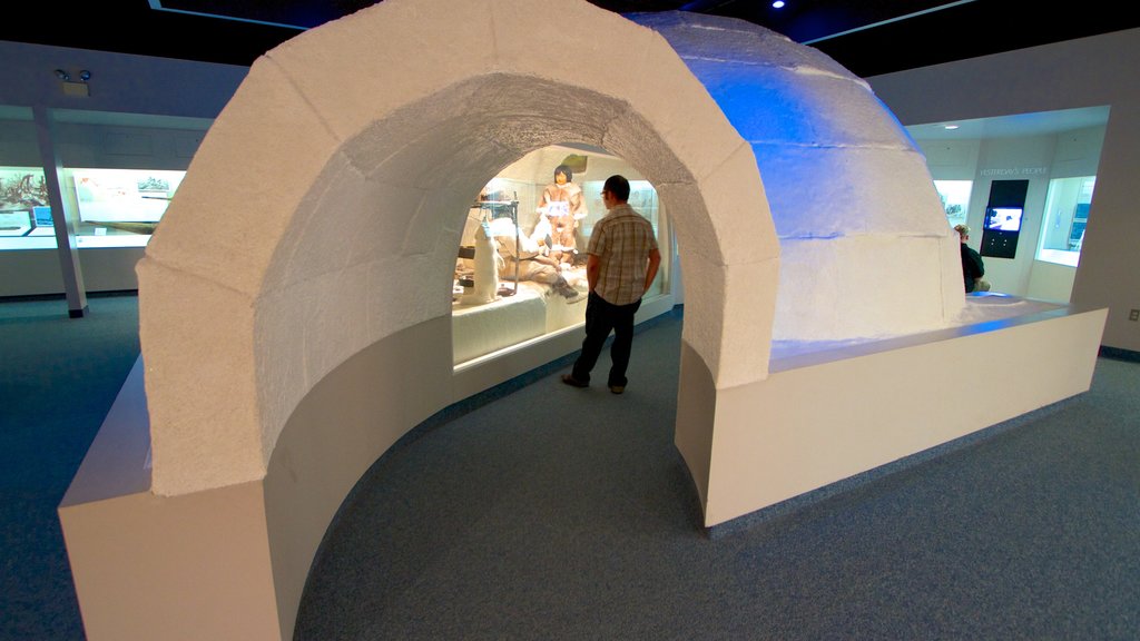 Carnegie Museum of Natural History showing interior views as well as an individual male