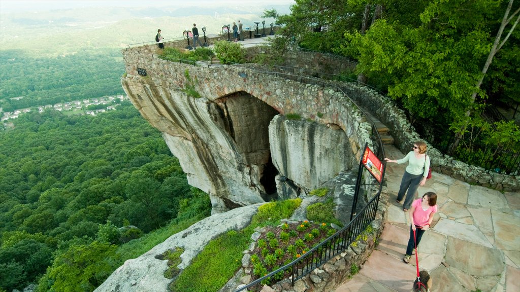 Chattanooga ofreciendo vistas y bosques y también un pequeño grupo de personas