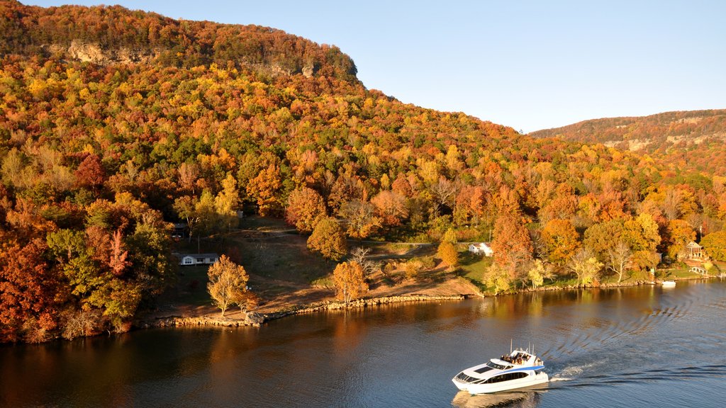 Chattanooga showing forest scenes, boating and mountains