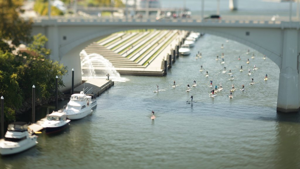 Chattanooga showing a city, a bridge and water sports