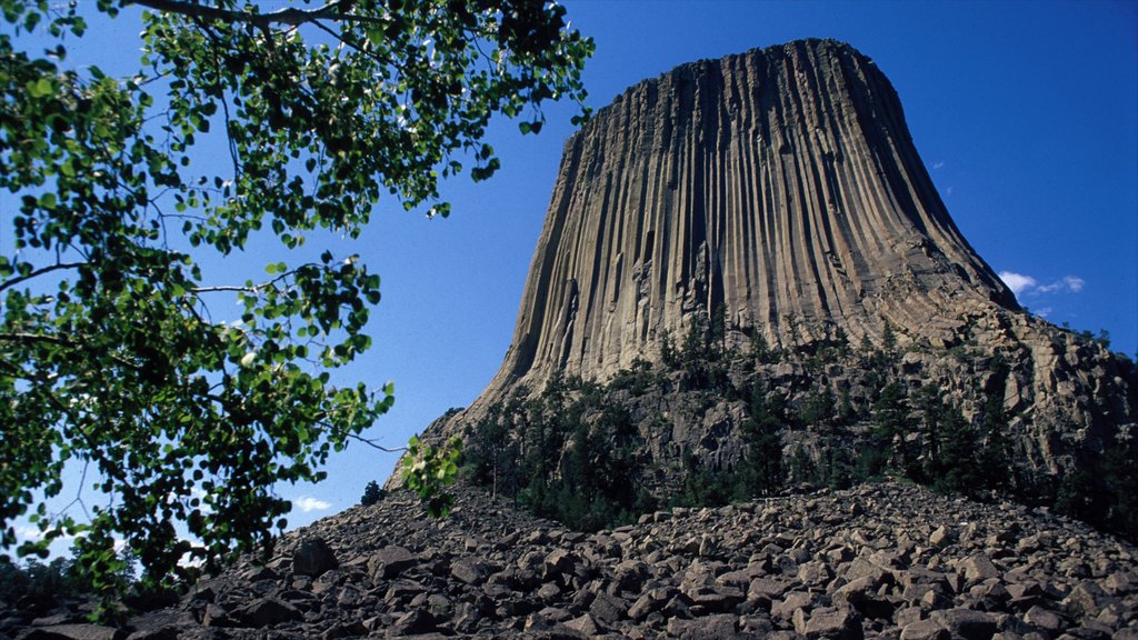 Rapid City ofreciendo montañas