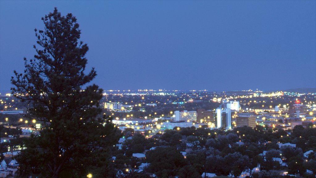 Rapid City showing night scenes and a city