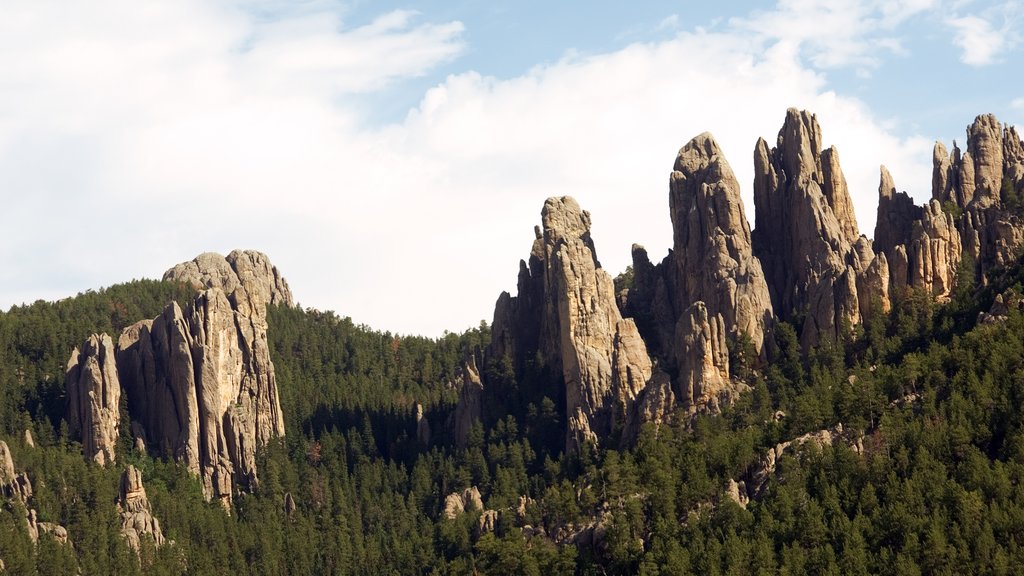 Rapid City que incluye vista panorámica, imágenes de bosques y montañas