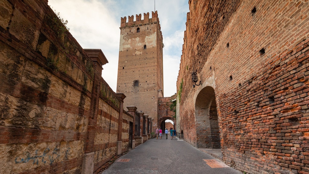 Ponte Scaligero mostrando elementos del patrimonio