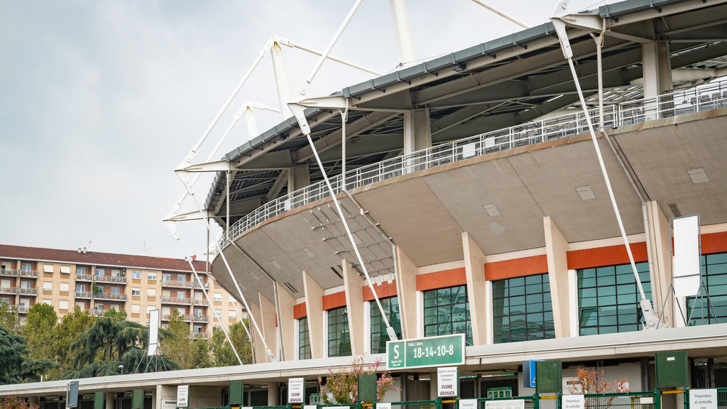 Stadio Olimpico showing modern architecture