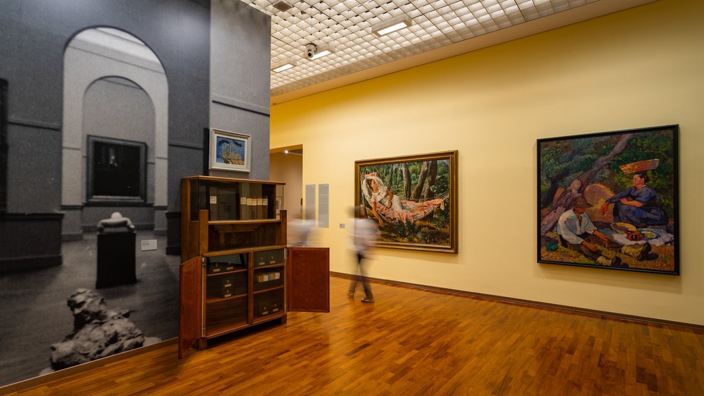 Galleria Civica d\'Arte Moderna e Contemporanea showing art and interior views