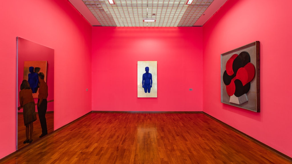 Galleria Civica d\'Arte Moderna e Contemporanea showing art and interior views