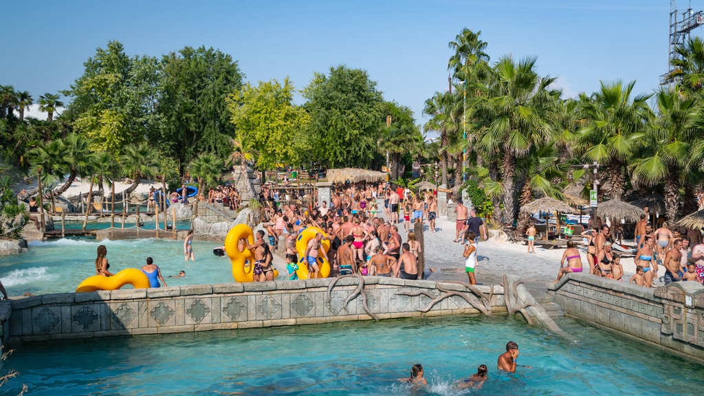 Parque acuático Aqualandia mostrando un parque acuático y también un gran grupo de personas