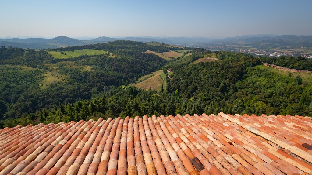 Santuario de Nuestra Señora de San Luca mostrando escenas tranquilas y vistas de paisajes