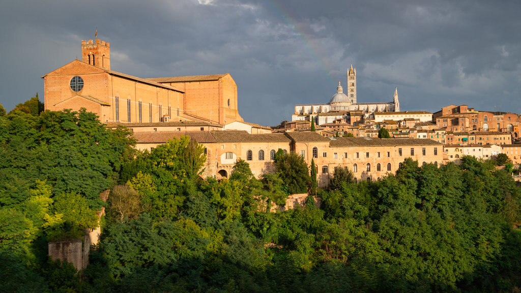 Basiliek van San Domenico inclusief landschappen en een stad