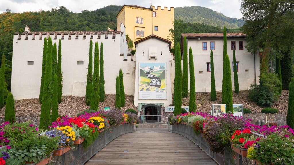 Trauttmansdorff Castle Gardens showing signage, a park and flowers