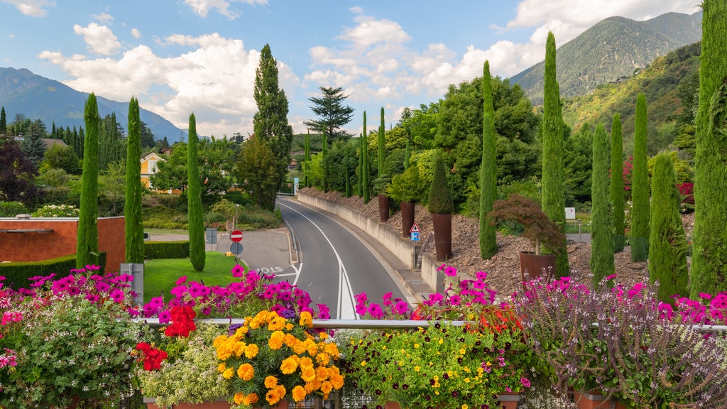 Trauttmansdorff Castle Gardens showing a park and flowers