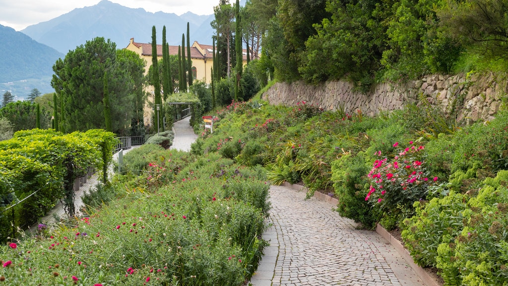 Trauttmansdorff Castle Gardens featuring a park and wild flowers