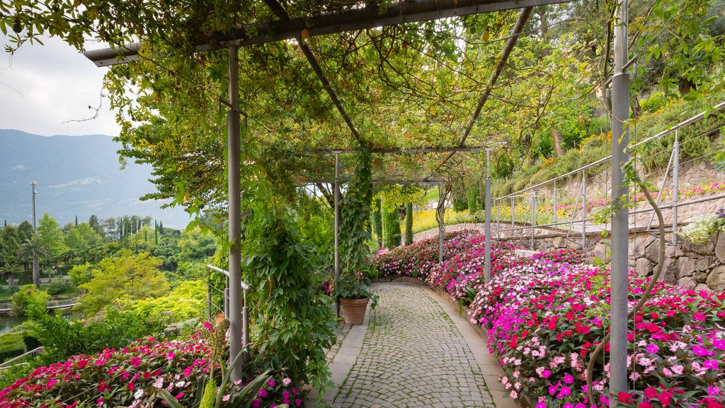 Jardines del castillo de Trauttmansdorff mostrando un parque, flores silvestres y flores