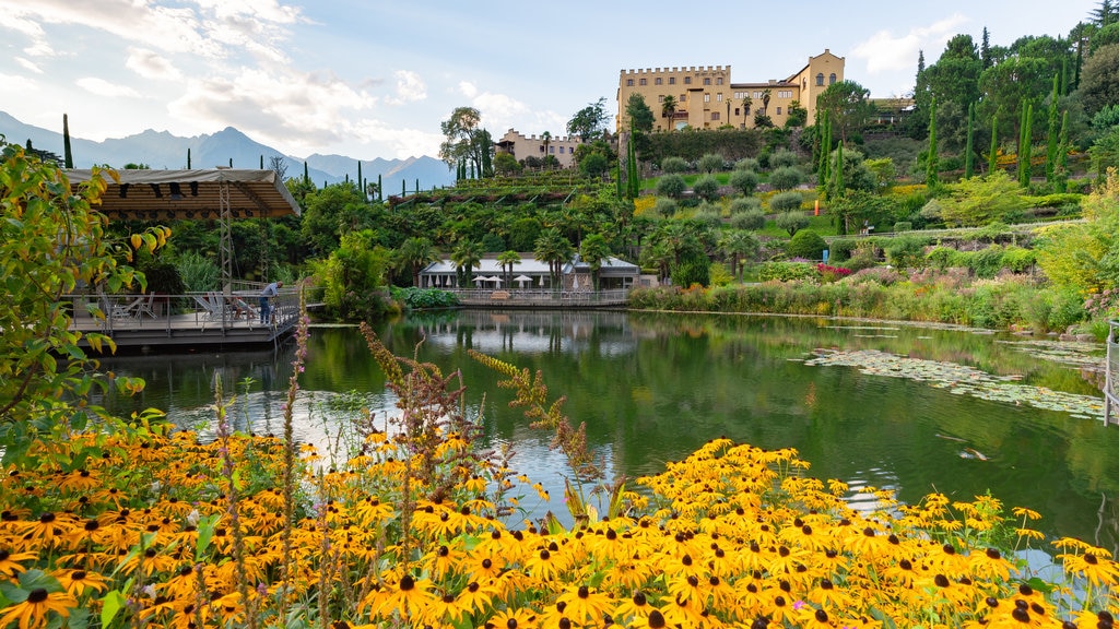 Trauttmansdorff Castle Gardens showing wild flowers, a pond and a garden