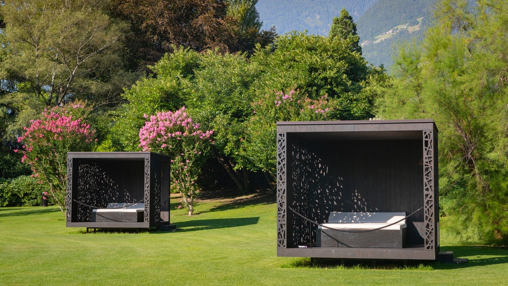 Merano Thermal Baths featuring a park and wildflowers