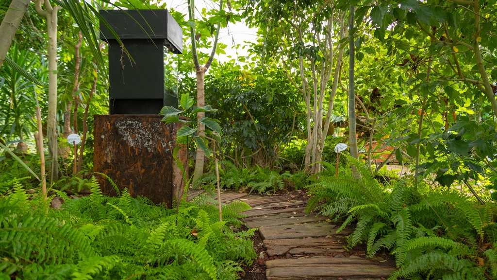 Casa delle Farfalle mostrando um parque