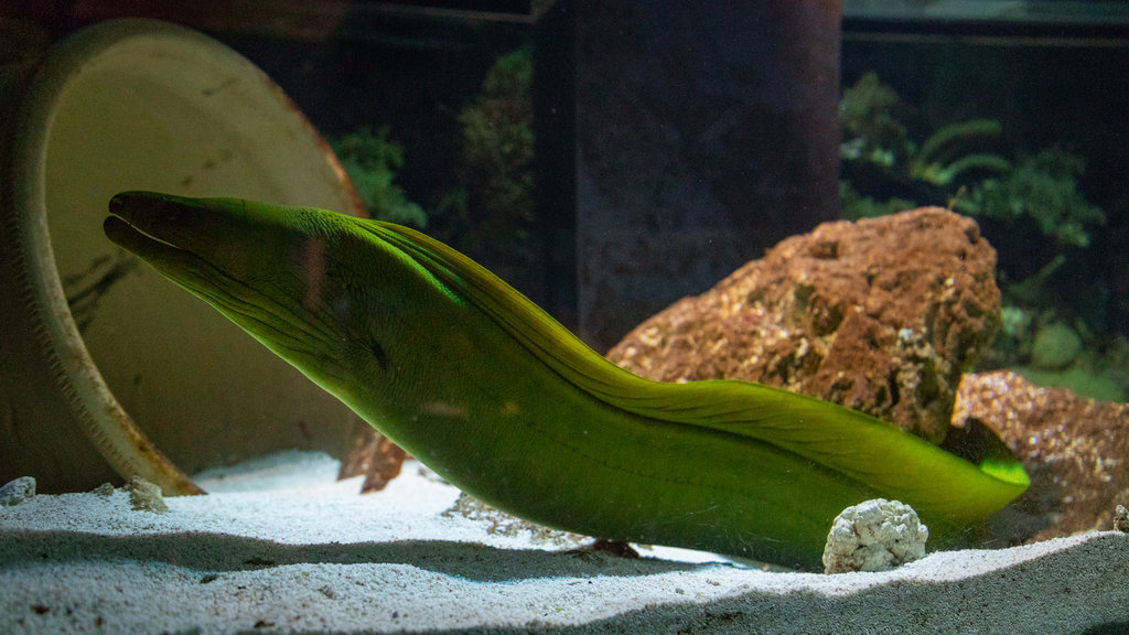 Tropicarium Park which includes marine life