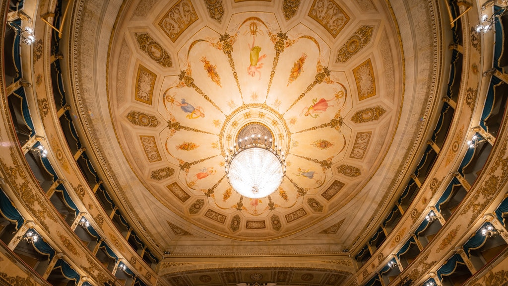 Teatro Comunale Alighieri mostrando elementos del patrimonio y vistas interiores