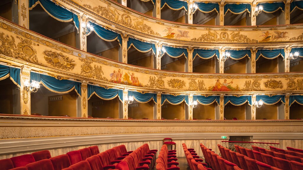 Teatro Comunale Alighieri featuring heritage elements, theatre scenes and interior views