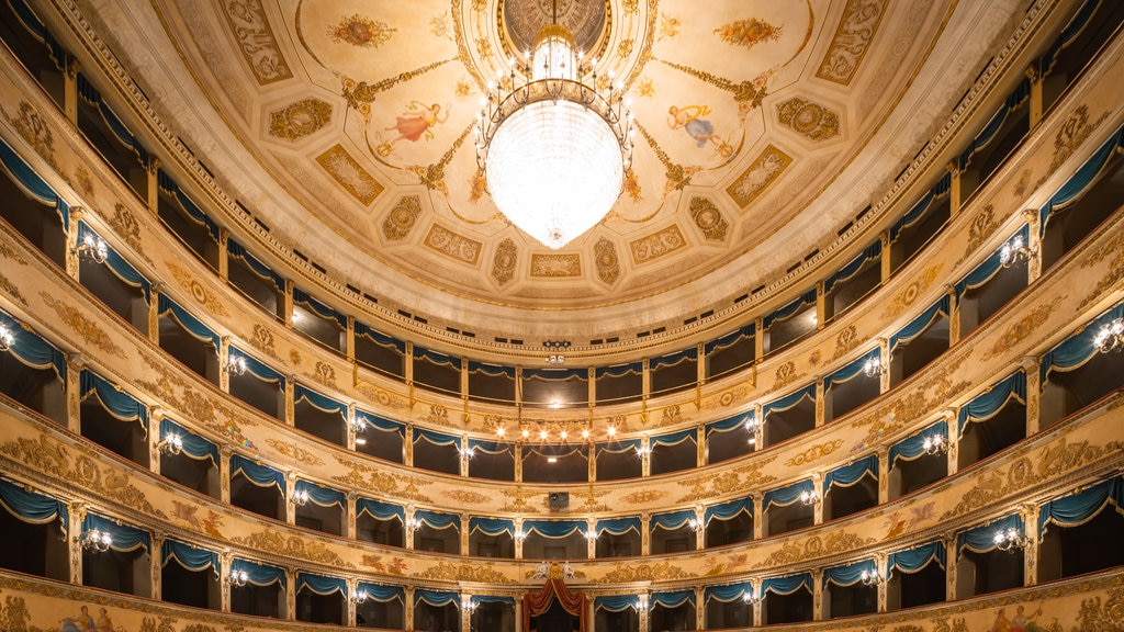 Teatro Comunale Alighieri mostrando escenas de teatro, vista interna y elementos patrimoniales