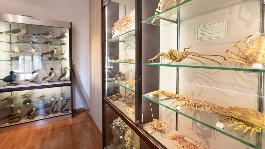 Cesenatico Maritime Museum which includes interior views