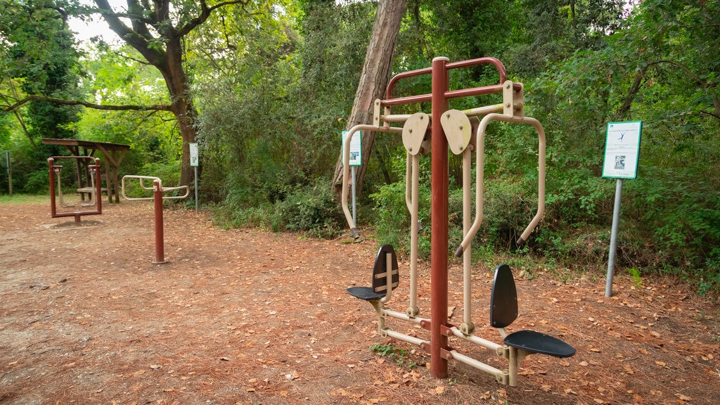 Pineta di Cervia - Milano Marittima showing a garden and forest scenes