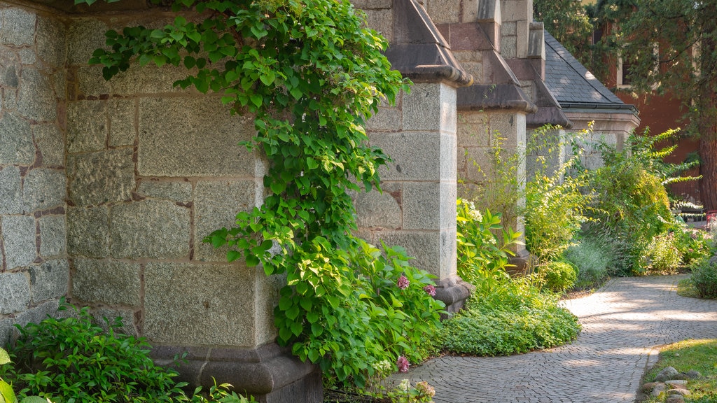 Evangelical Church showing wild flowers