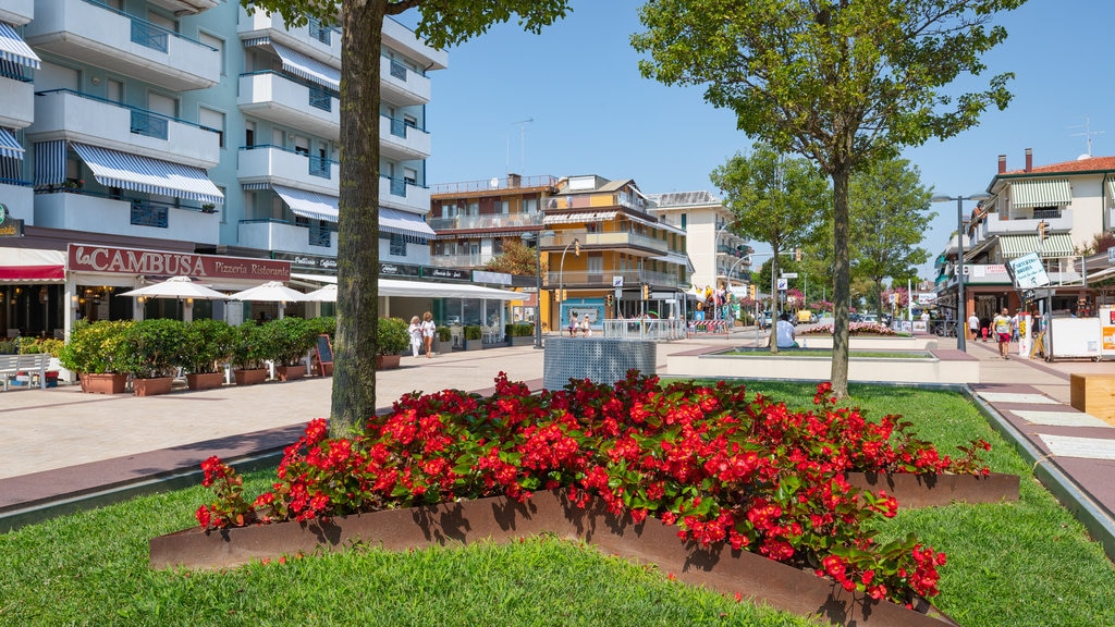 Piazza Milano showing flowers