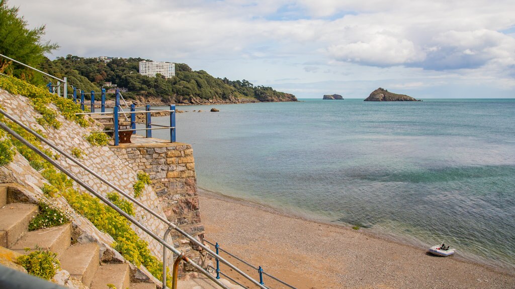 Meadfoot Beach mostrando paisagens litorâneas e litoral acidentado