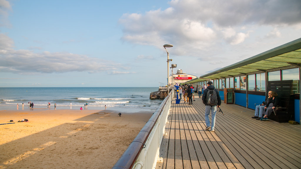 Bournemouth Pier featuring a beach and general coastal views as well as a small group of people