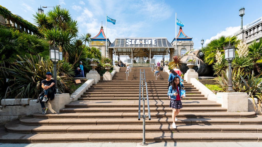 Brighton Sea Life Centre showing signage