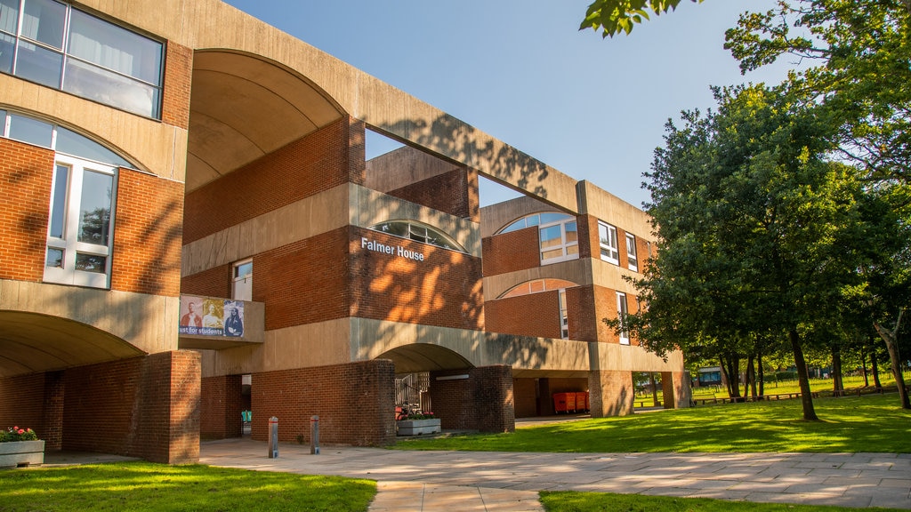 Université du Sussex