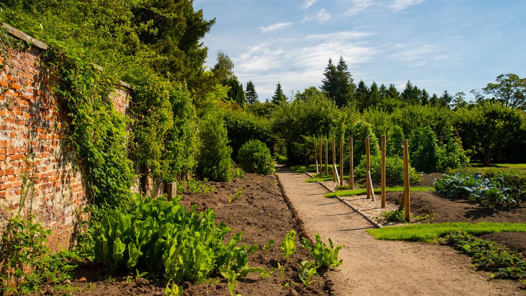 Ripley Castle and Gardens showing a park