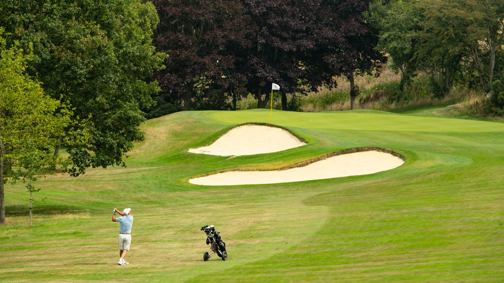 Club de golf Pannal que incluye golf y también un hombre