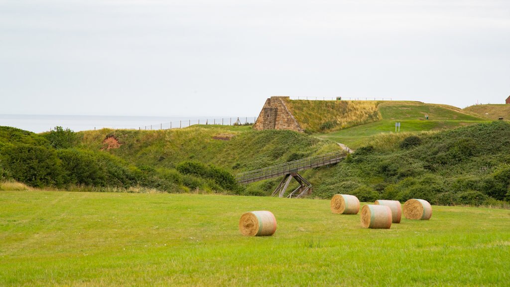 Whitby Golf Club showing farmland and tranquil scenes