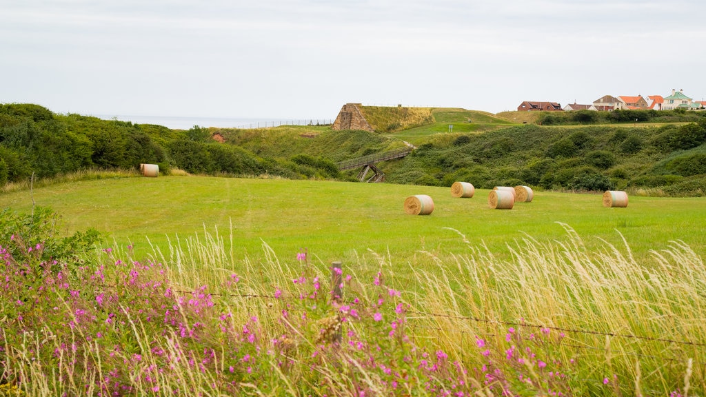 Whitby Golf Club showing farmland, tranquil scenes and wild flowers