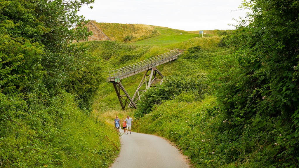 Whitby Golf Club og byder på en park såvel som en familie