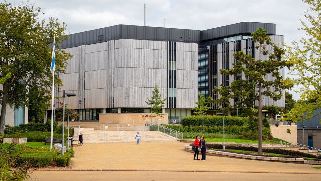 University of Southampton showing street scenes