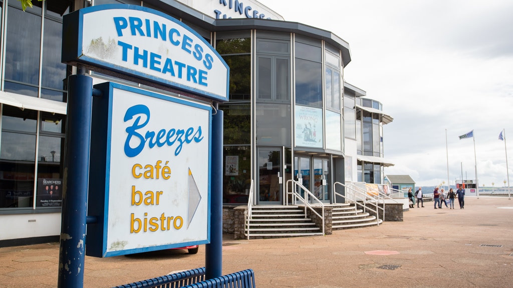 Princess Theatre featuring signage