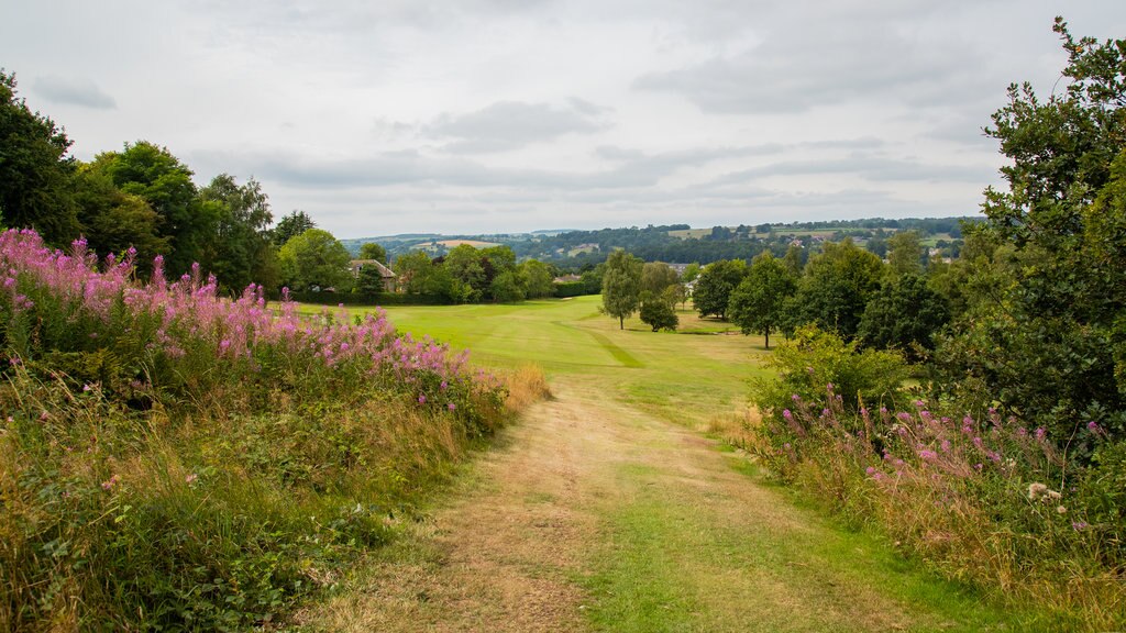 Pannal Golf Club mettant en vedette fleurs sauvages et golf