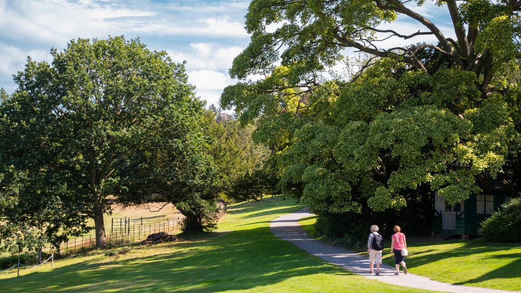 Ripley Castle and Gardens featuring a park as well as a couple