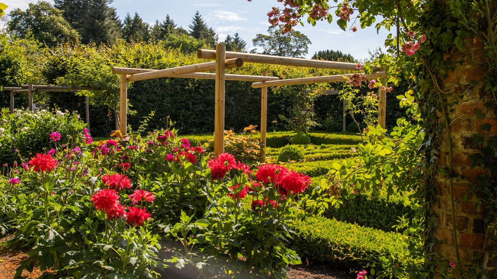 Ripley Castle and Gardens featuring flowers and a garden