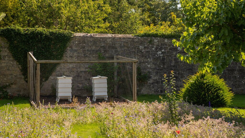 Ripley Castle and Gardens showing wildflowers and a garden