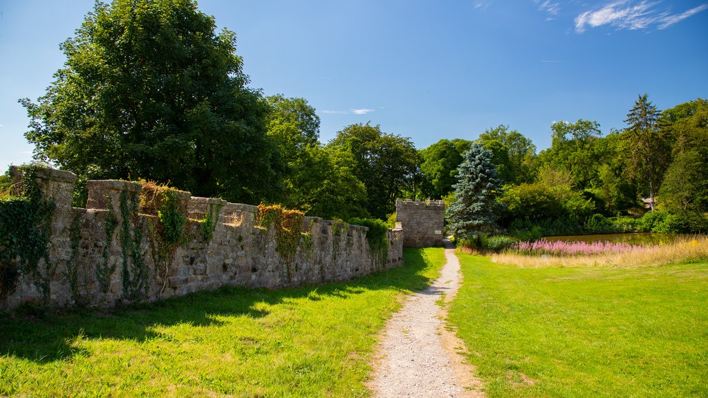 Ripley Castle and Gardens que incluye un parque y elementos patrimoniales