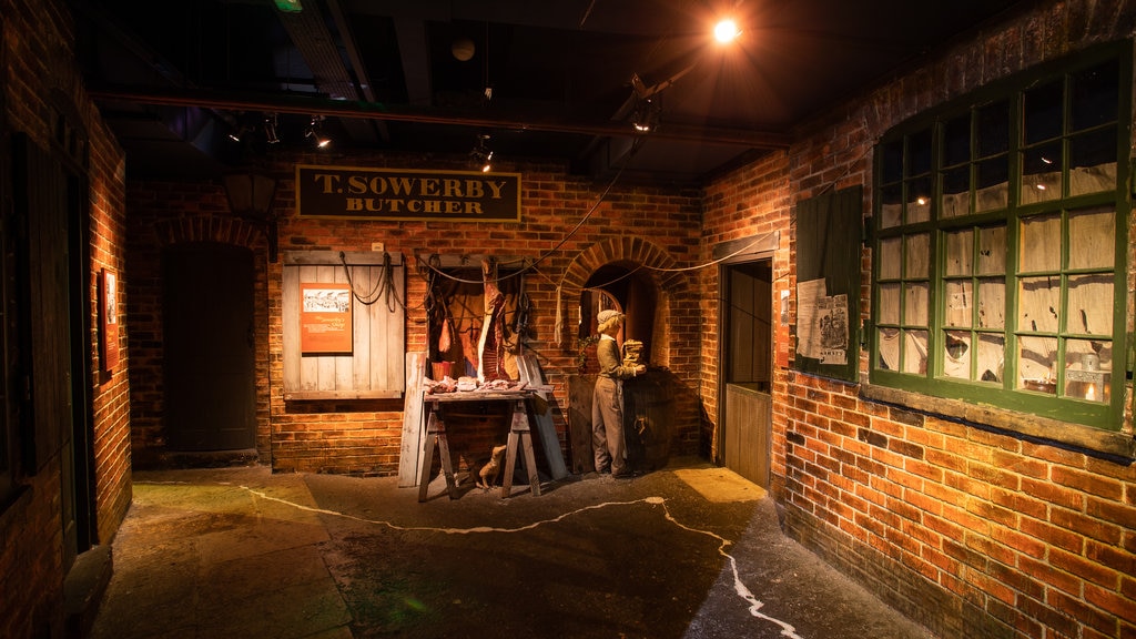 Thackray Medical Museum featuring interior views